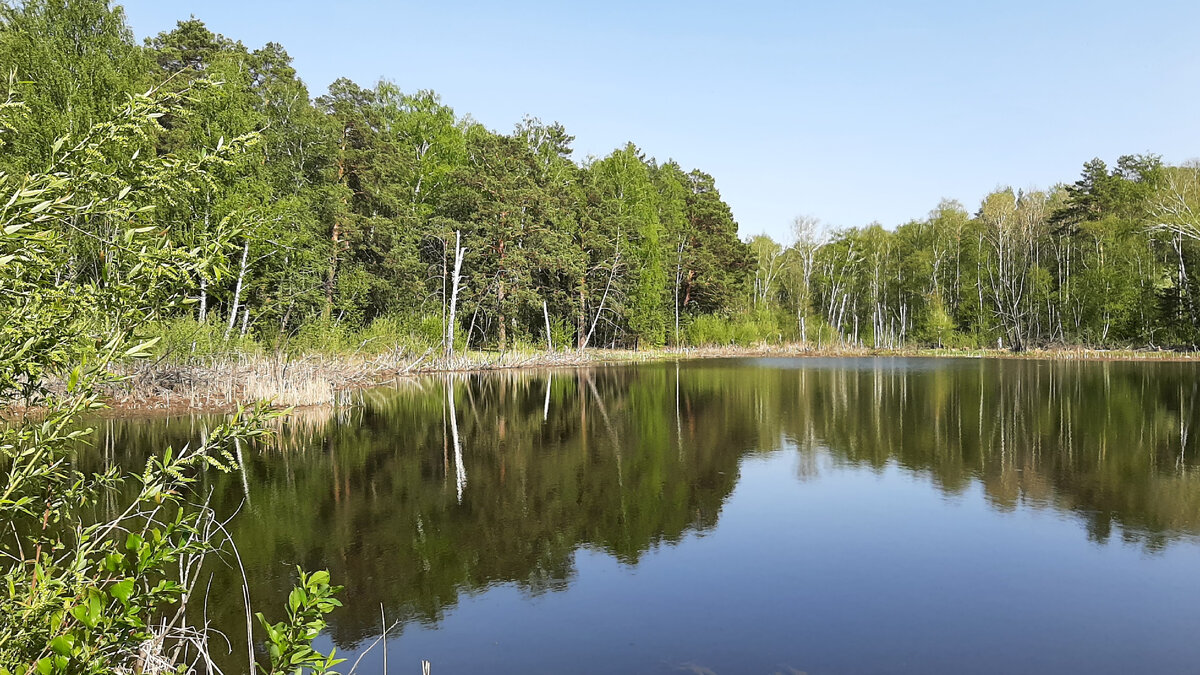 Прогулка вдоль Шершнёвского водохранилища | Творческая студия | Дзен