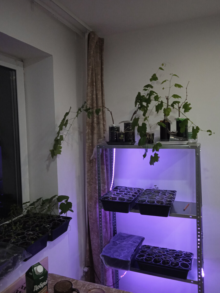 Так выглядело начало