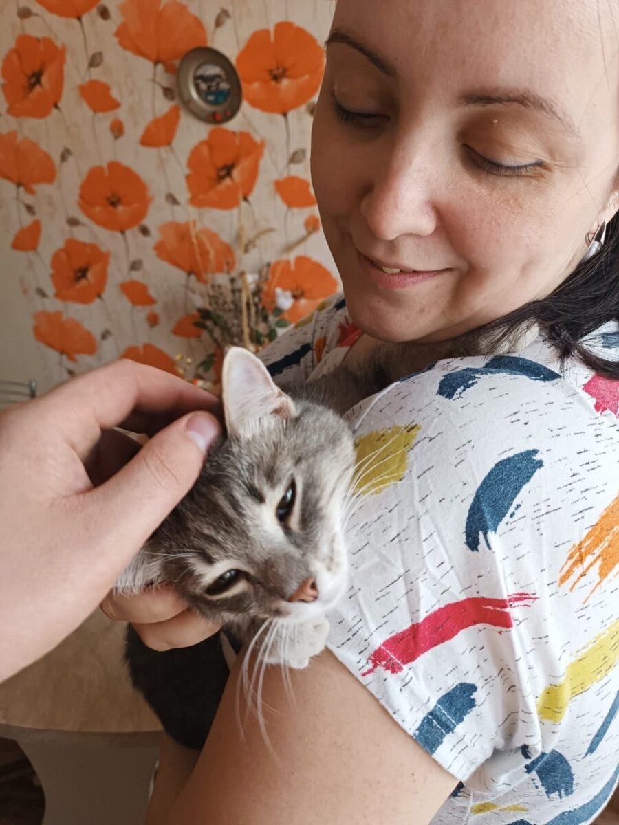 Множество внимания и ласки для любимого котика!