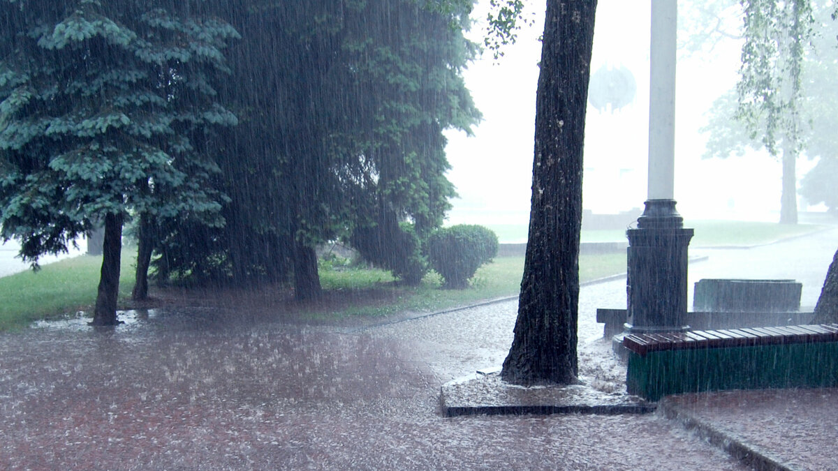     В Ростове 29 мая ожидаются ливни и усиление ветра, сообщили в городском управлении по делам ГО и ЧС.