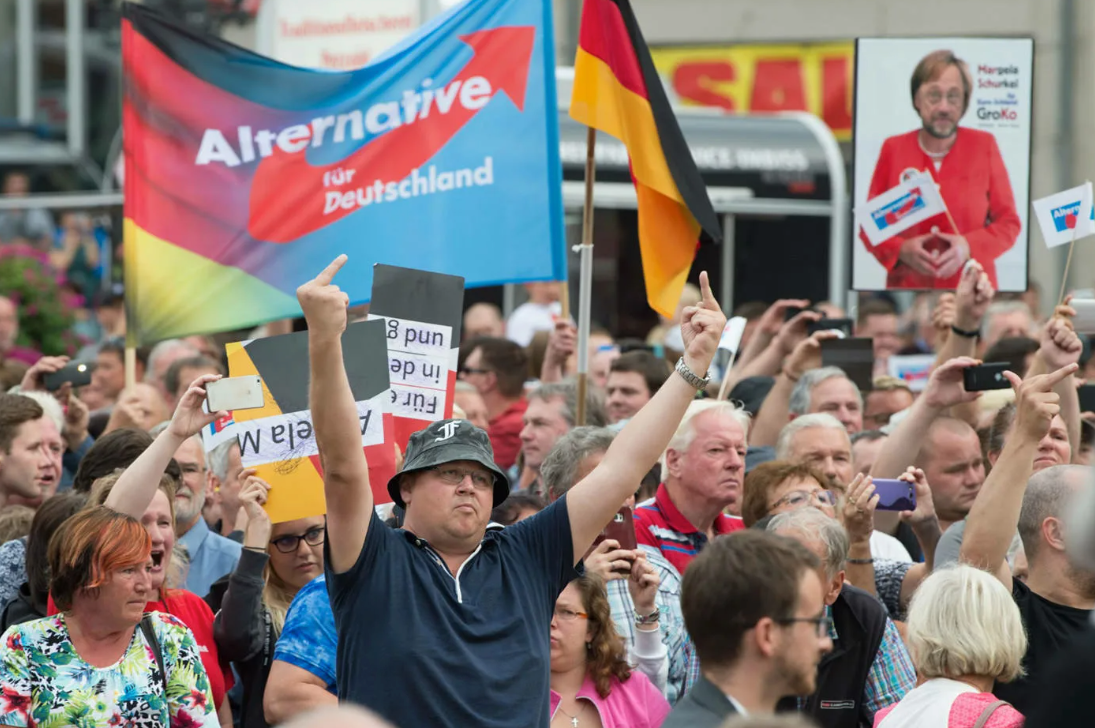 Немецкие движения. Альтернатива для Германии партия Лидер. AFD партия в Германии. Альтернатива для Германии (АДГ). «Альтернатива для Германии» Тино КРУПАЛЛА..