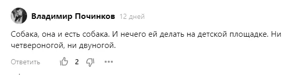 Хотя я четко обозначила в тексте, что мы не заходили на детскую площадку, Владимир почему-то решил, что именно там мы и гуляли. И откомментировал, не преминув добавить завуалированные оскорбления. Скриншот.