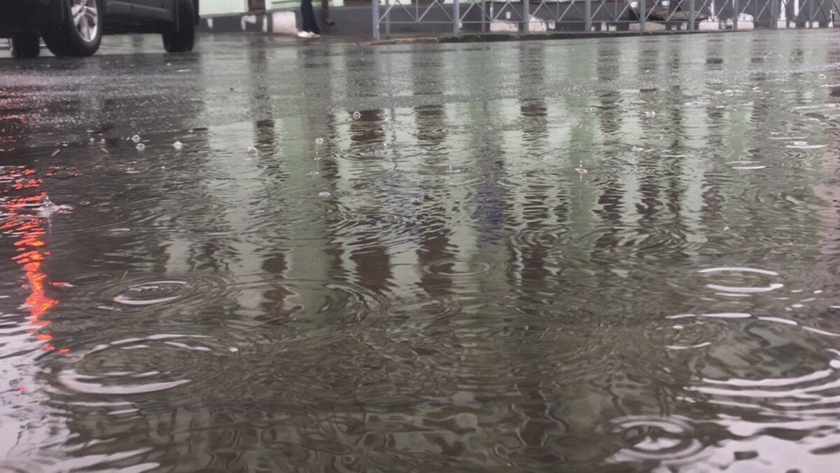     От упавших деревьев в Уфе пострадали не только машины, но и люди, сообщили в управлении гражданской защиты.