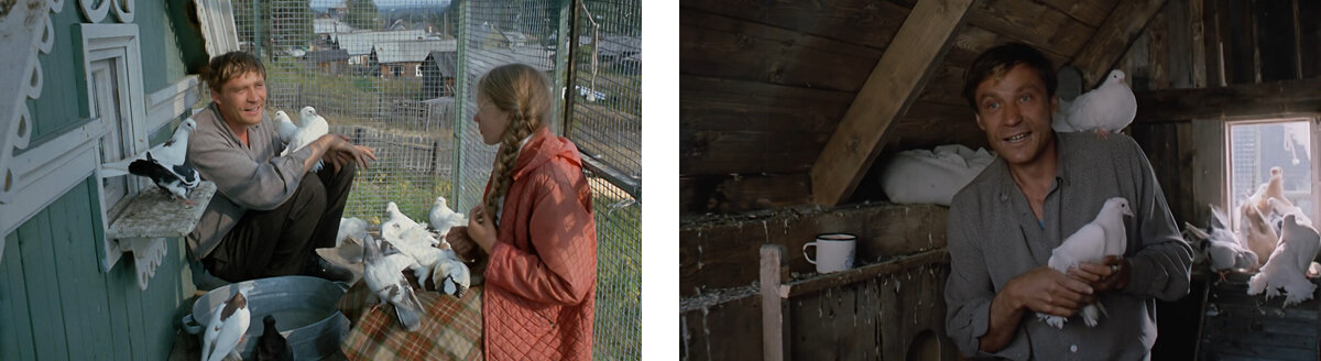 Источник фото https://facte.ru/film/interesnye-fakty-o-filme-lyubov-i-golubi-aktyorskij-sostav