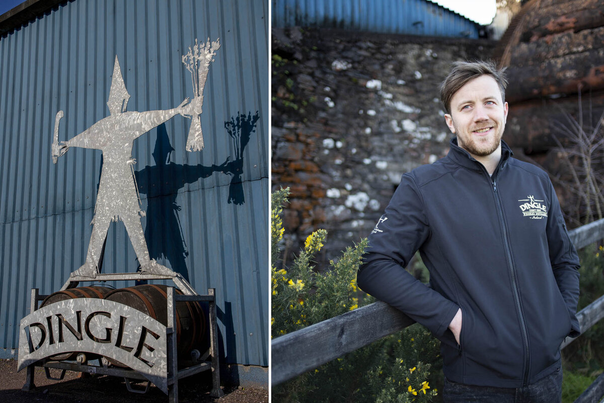 Новые производители ирландского виски Gordian "wine library" Дзен