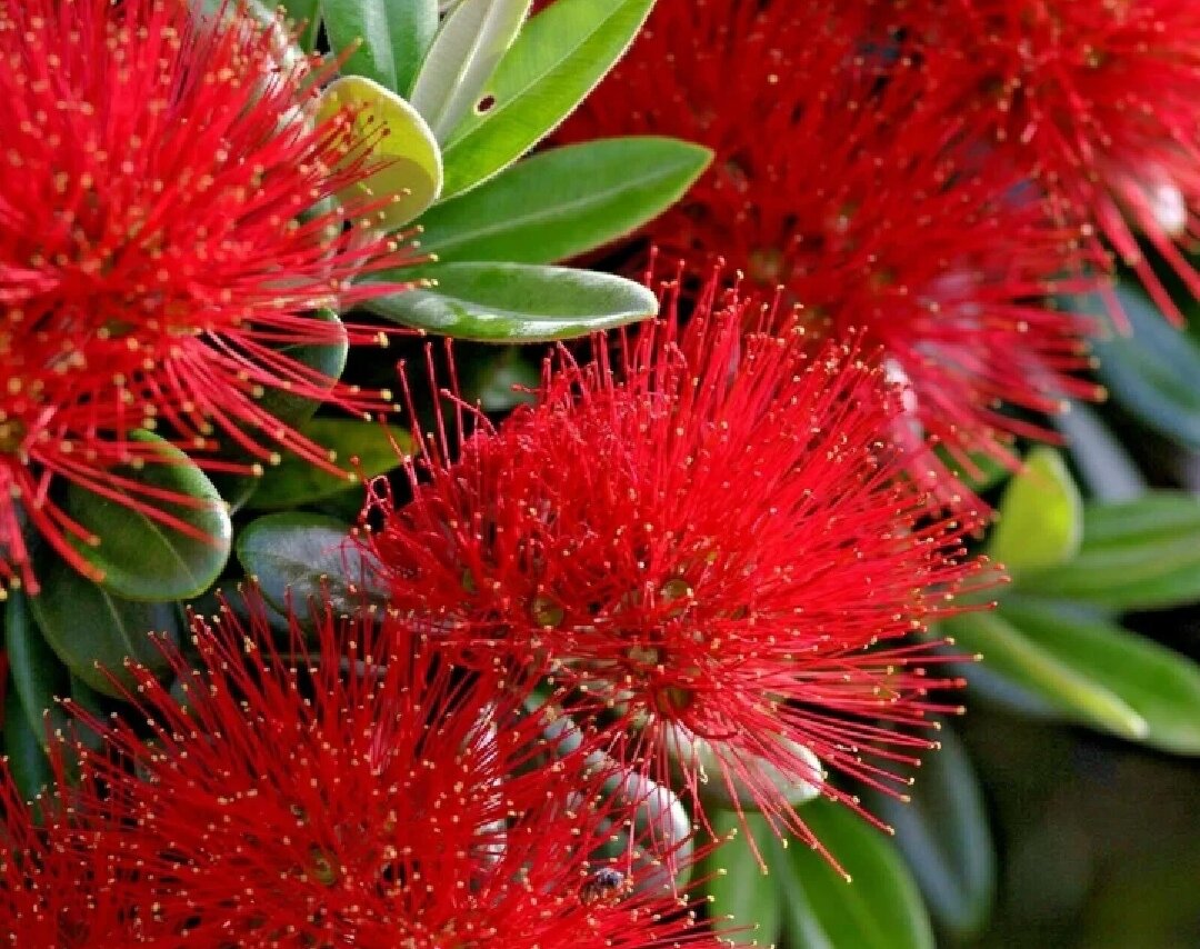 Картинка из открытого источника 