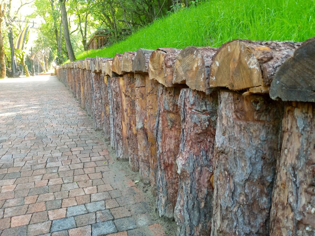 Тропа к блиндажам