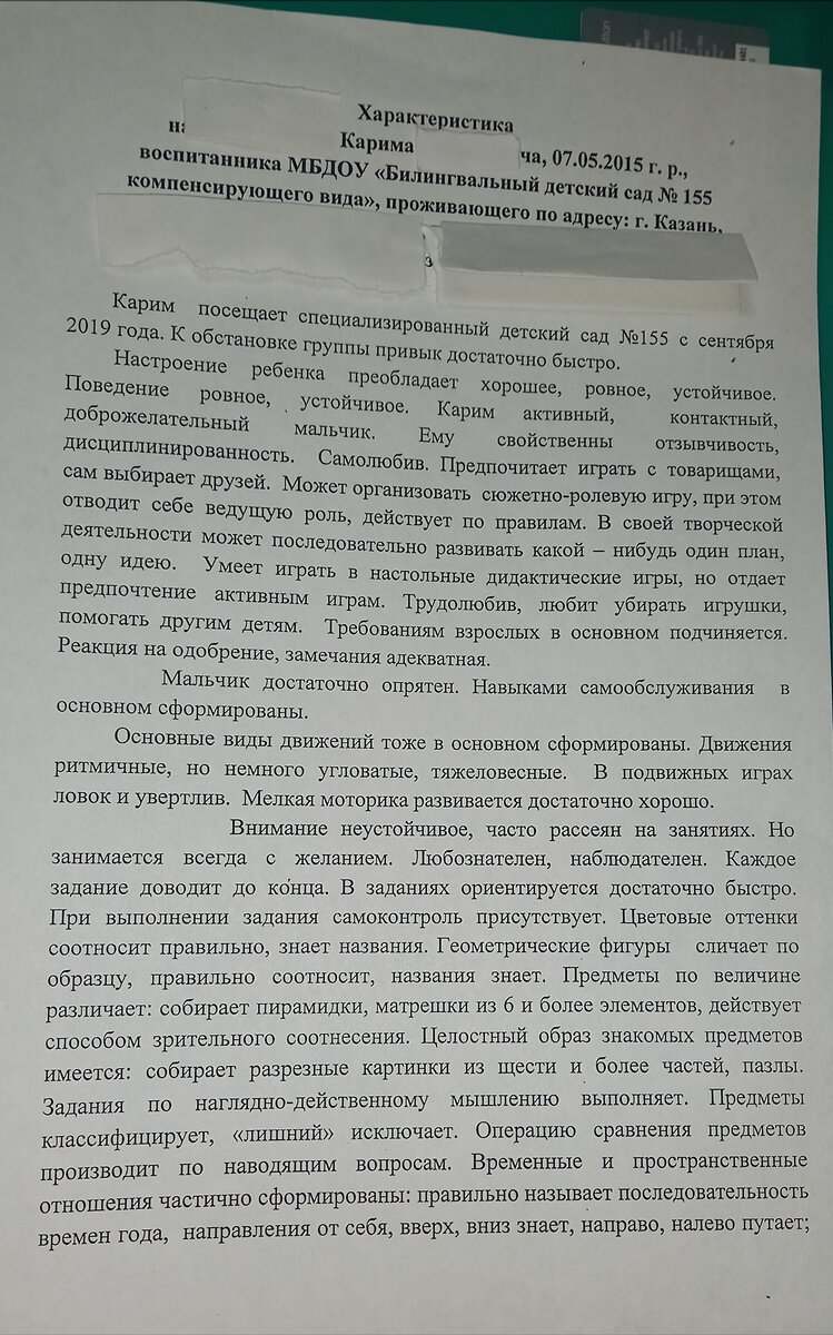 Хождение по мукам или как устроить ребёнка с аутизмом в школу? Часть 2. |  Катюша Блогер | Дзен