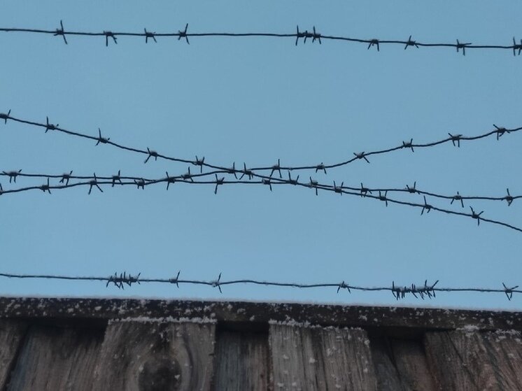 ФОТО: МК В ВОЛОГДЕ 