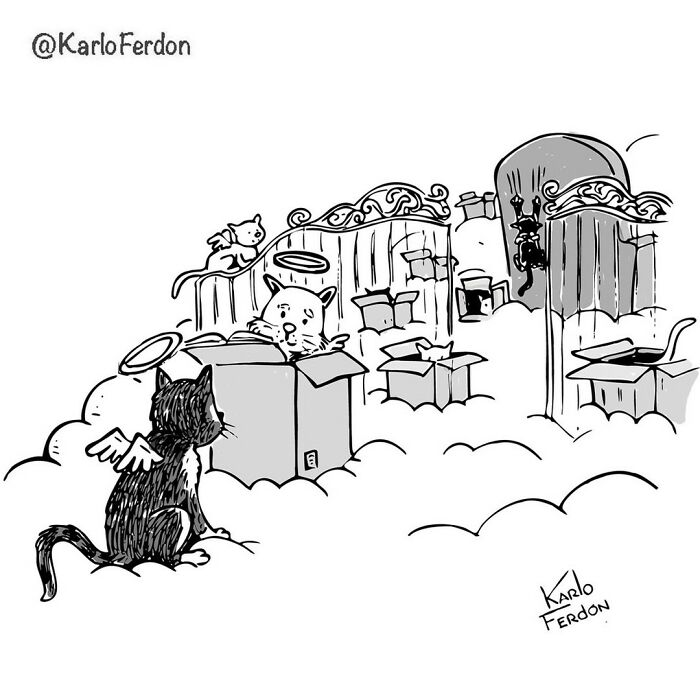 Фото: www.patreon.com/KarloFerdon