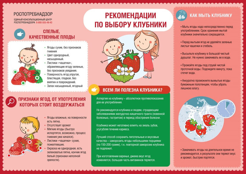 Инфографика: Роспотребнадзор
