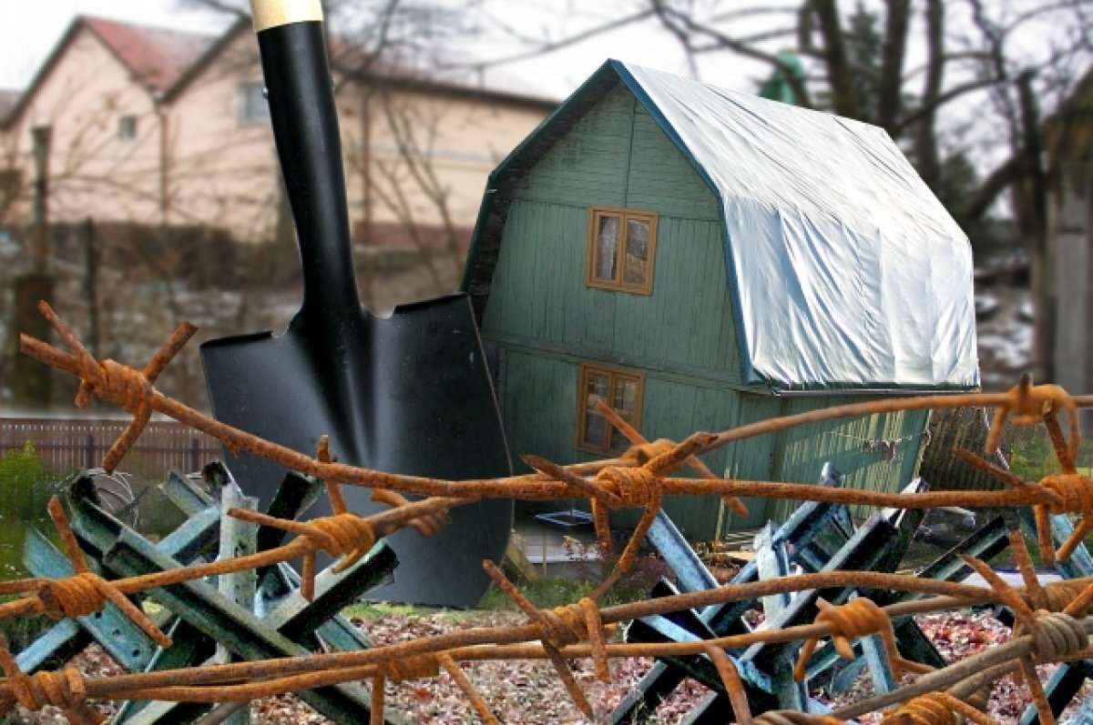    Хозяин дачного участка под Всеволожском до смерти забил друга
