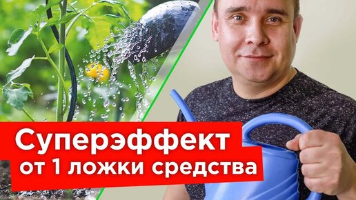 Вот так средство! От болезней и вредителей растений - триллионы полезных бактерий и грибов в 1 мл препарата!