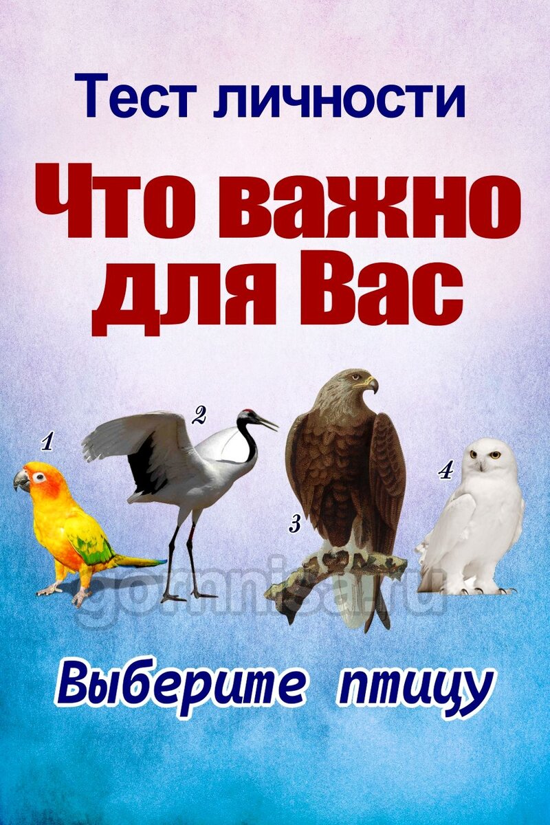    Тест личности — Что важно для Вас Pavlov A