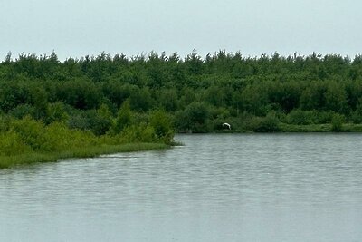    Заказник «Верховья реки Большой Сестры» © Пресс-служба Министерства экологии и природопользования Московской области