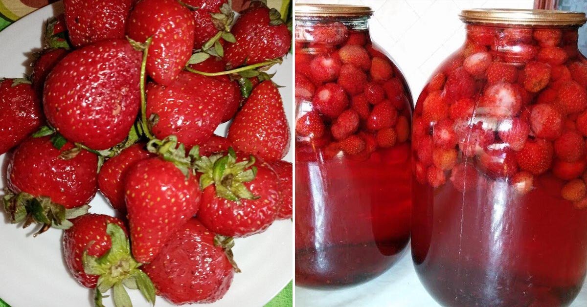 желе из красной и черной смородины рецепт на зиму ОК