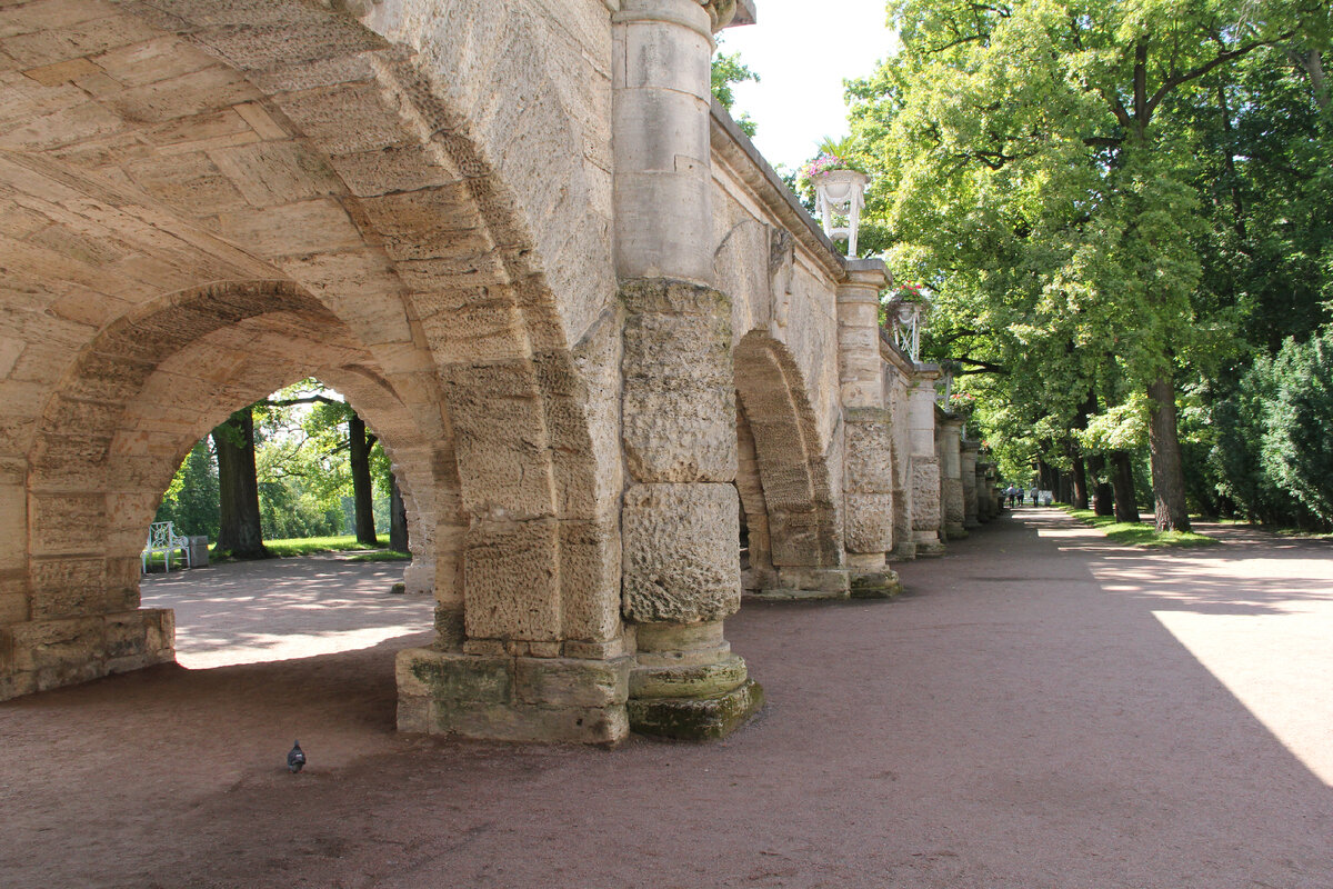 Фото автора. Исключительно из эстетических соображений. 