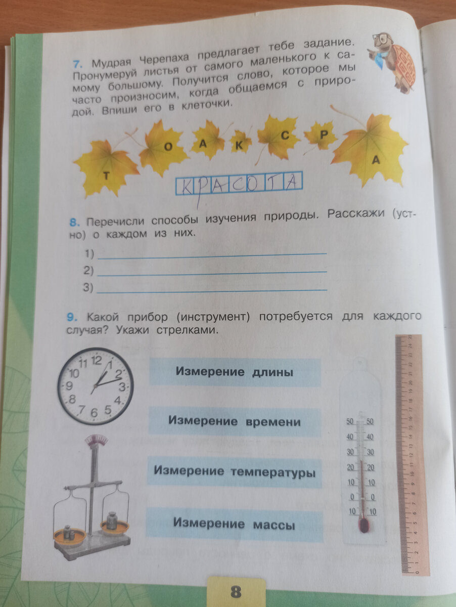 Окружающий мир. Рабочая тетрадь. Класс 3. Часть 1. А. А. Плешаков. | Жизнь  и опыт одной училки | Дзен