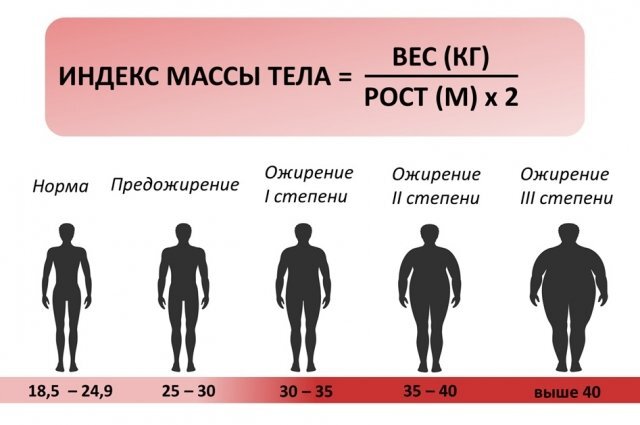 Как правильно рассчитать индекс массы тела? | АиФ Волгоград | Дзен