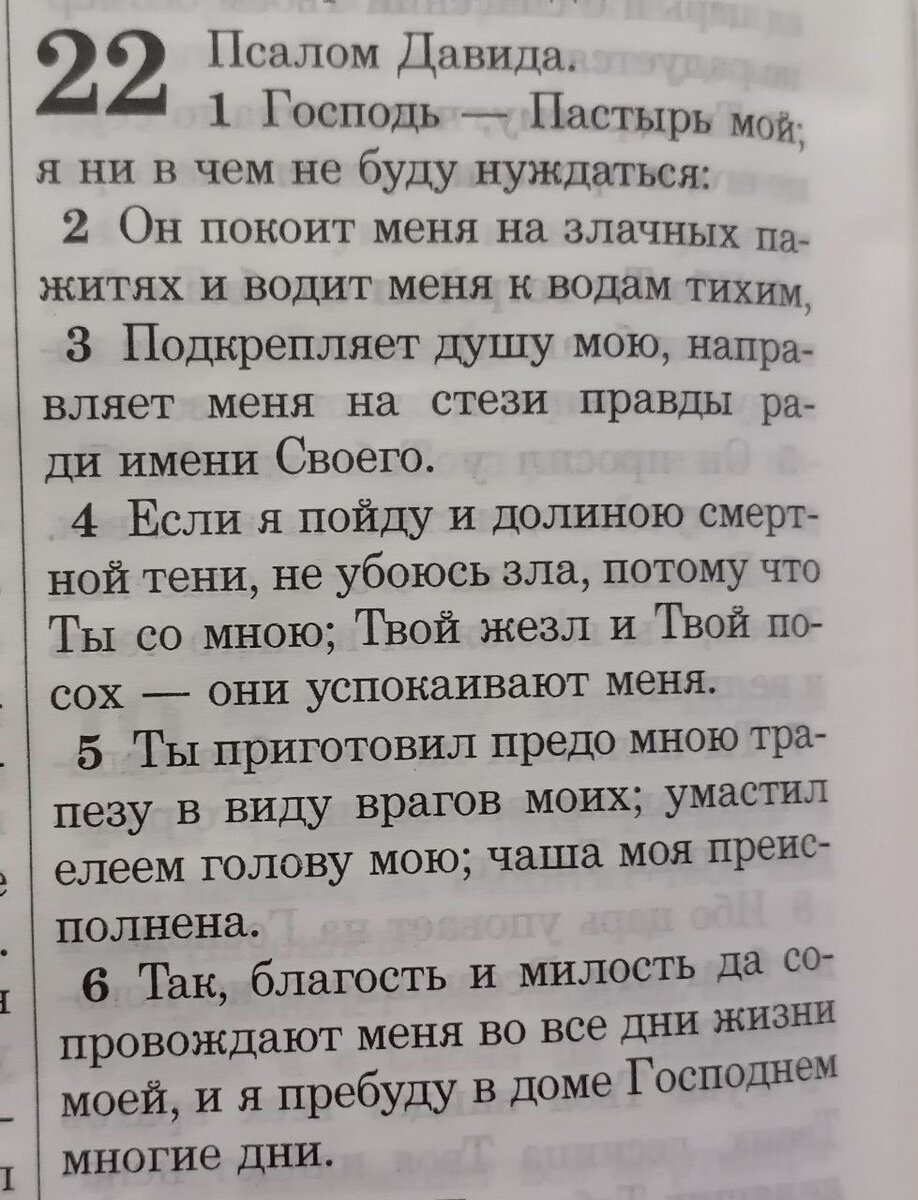 Если я пойду и долиною смертной тени,не убоюсь зла, потому что Ты со  мною;