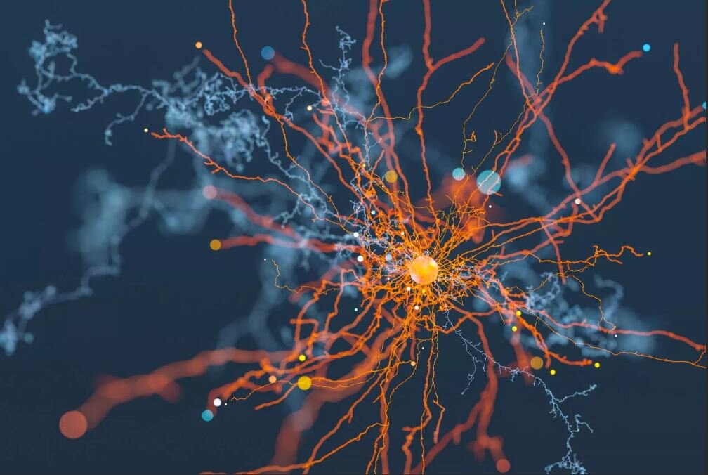 Нейроны - это клетки, из которых состоит наш мозг, серое вещество мозга