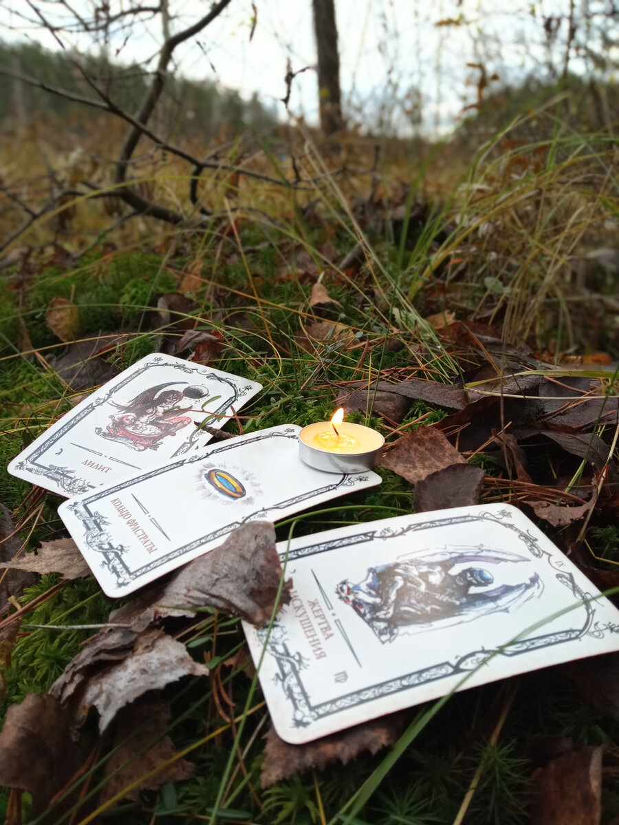 Фото автора. 