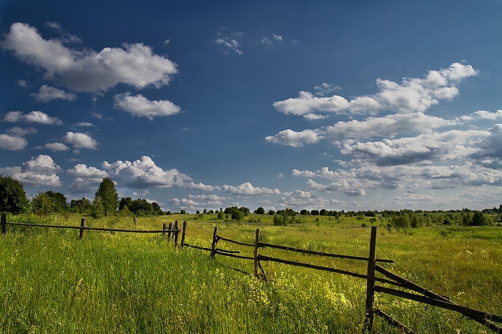 Из открытых интернет источников.