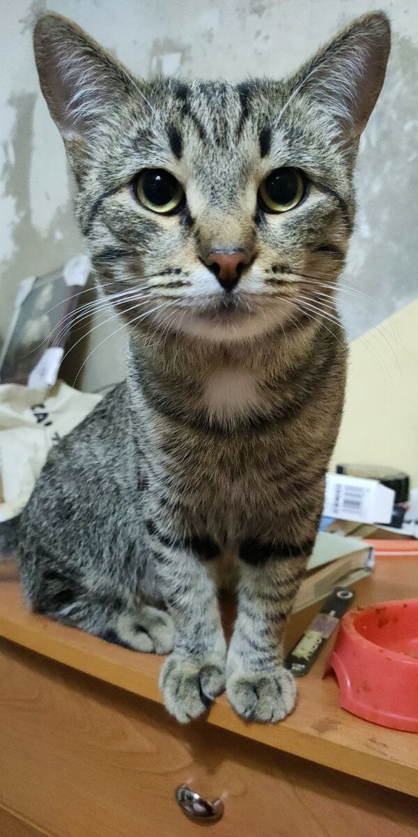 И здравствуйте!