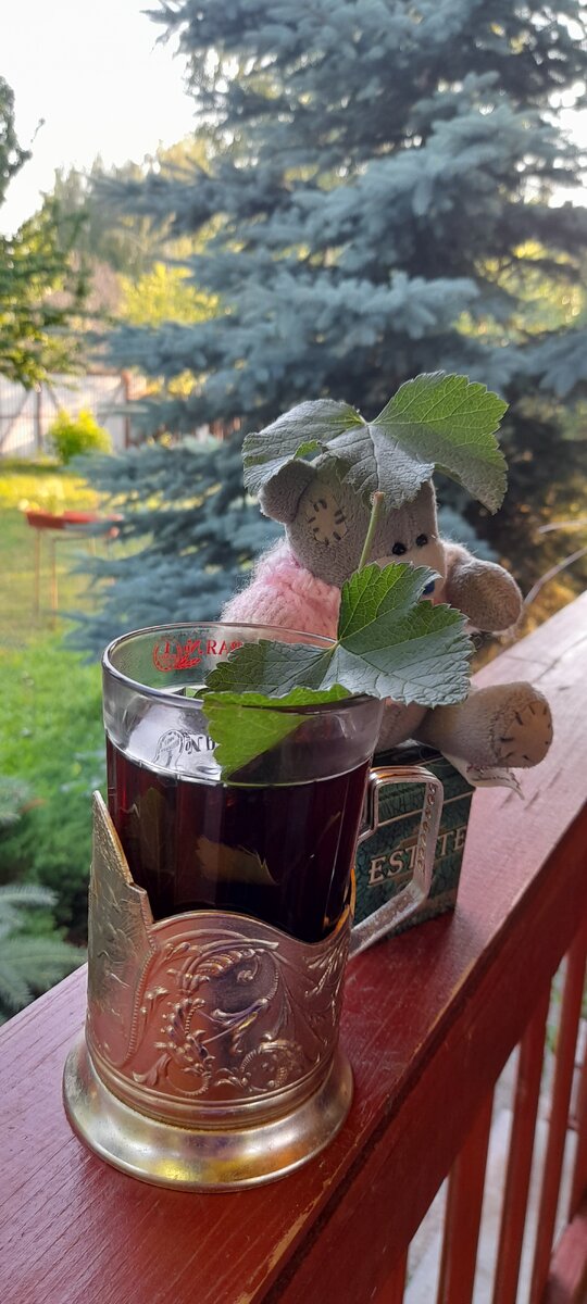 Горячий черный чай со смородиновым листом-  чтобы взбодриться и насладиться  терпким освежающим вкусом!