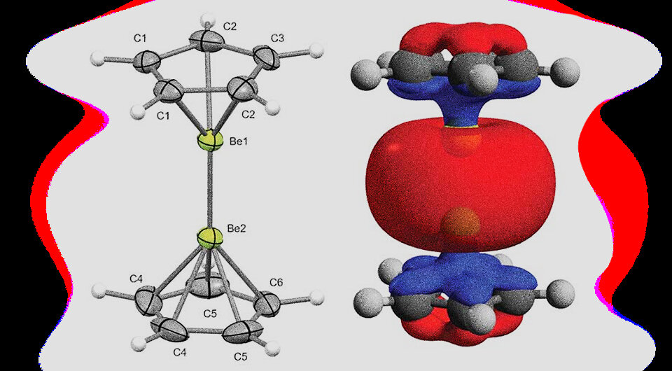   Коллаж N + 1; Josef T. Boronski et al. / Science, 2023