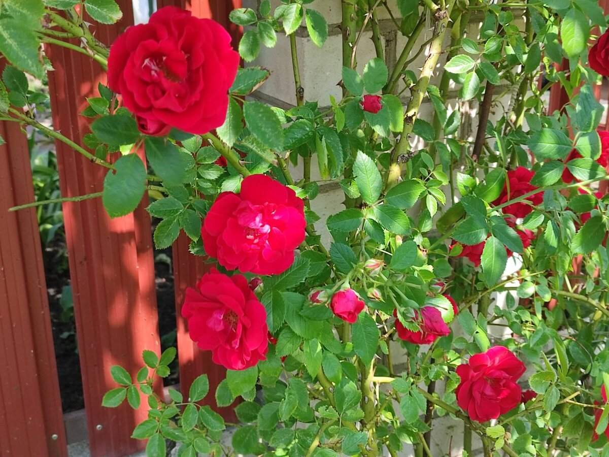 фото автора канала