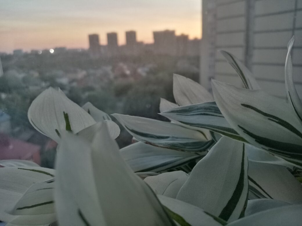 И какая-то странная щемящая грусть... Фото автора