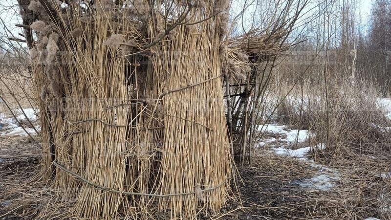  Шалаш в Южно-Приморском парке, в котором были найдены тела Светы и Лилианы.