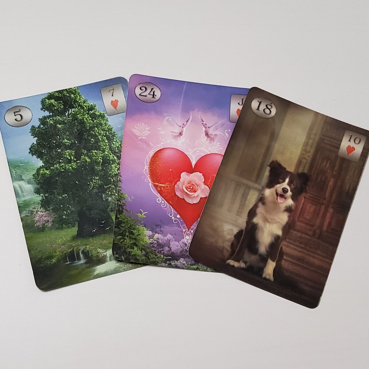 Будут ли у нас развиваться отношения дальше? @AIRAtarot