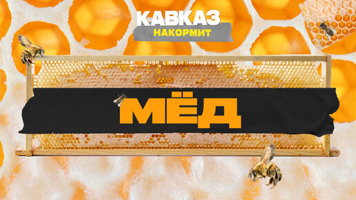 Мёд | Кавказ накормит