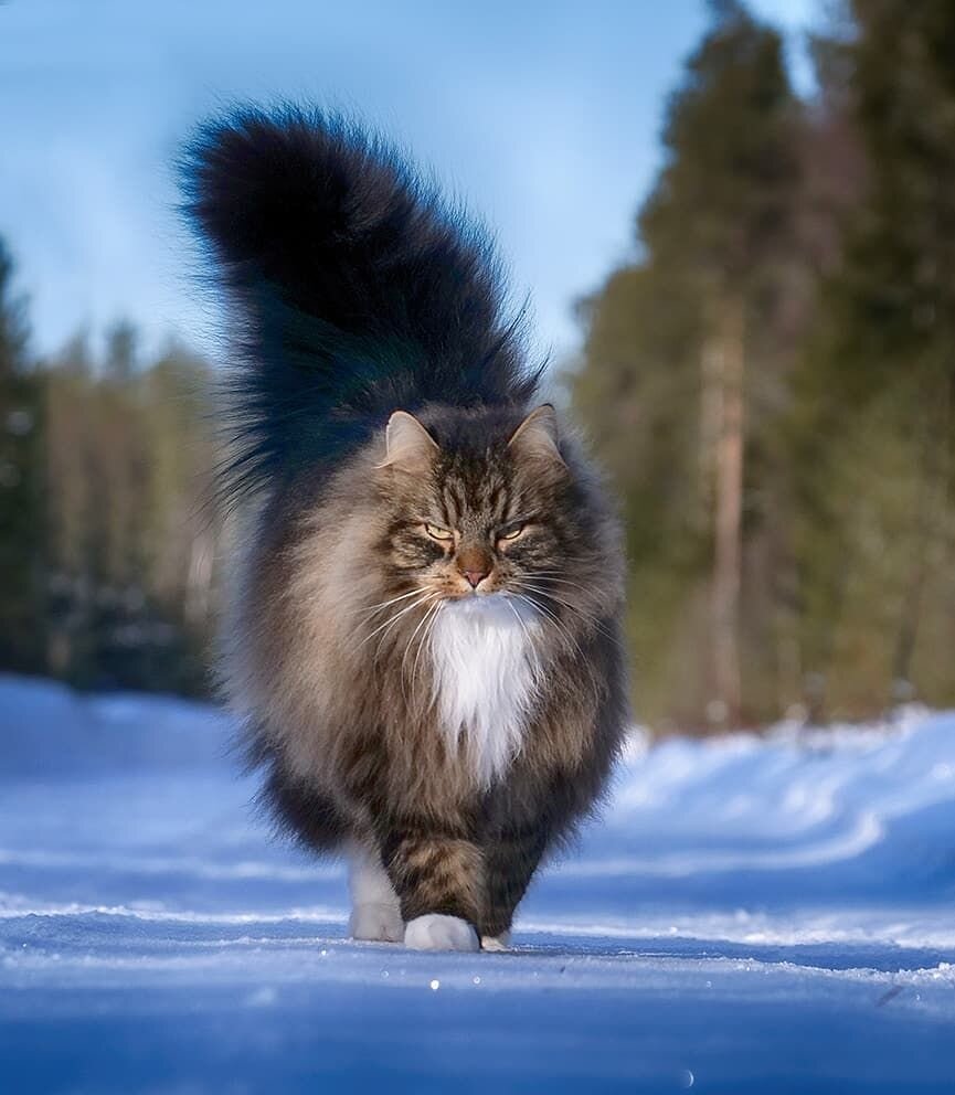-3