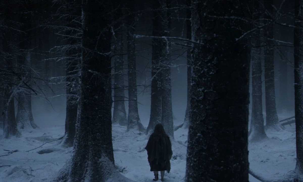 Ночь в тайге рассказ. Страшный зимний лес. Ночной лес. Мрачный зимний лес. Страшный лес.