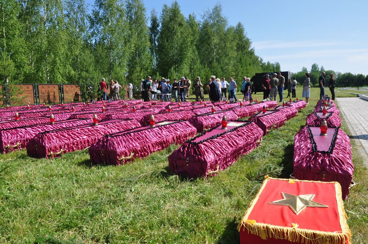    Гробы с останками бойцов Красной армии на военно-мемориальном кладбище Ржева © ИА Регнум
