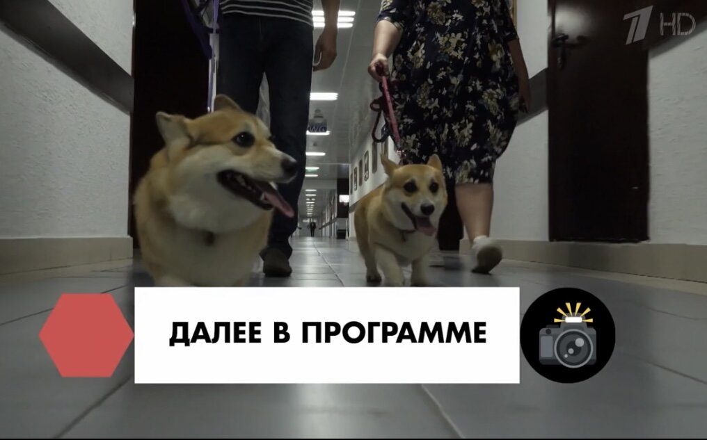 Шагаем, такие деловые 😂