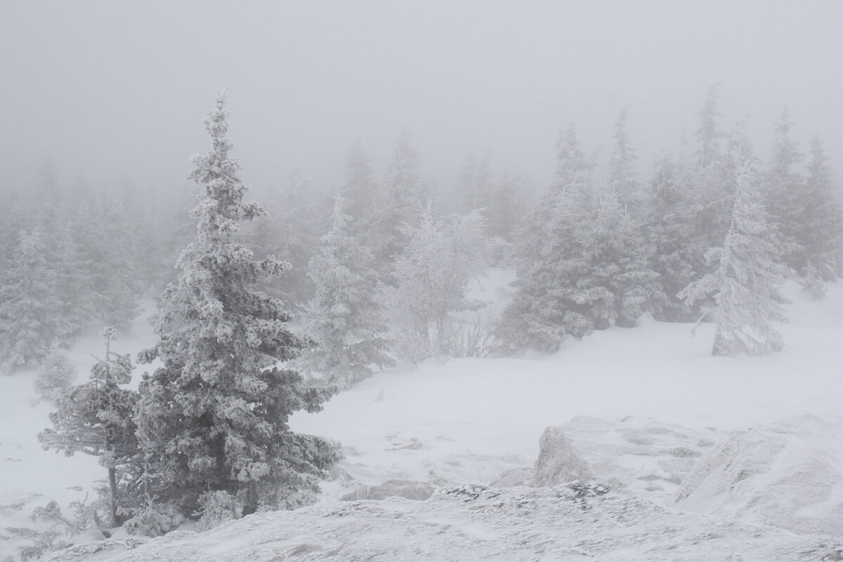 Сказочный зимний лес на вершине