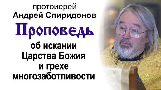 Проповедь об искании Царства Божия и грехе многозаботливости (2023.06.25). Протоиерей Андрей Спиридонов