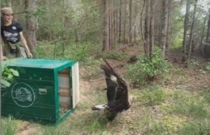    Фото: Росприроднадзор