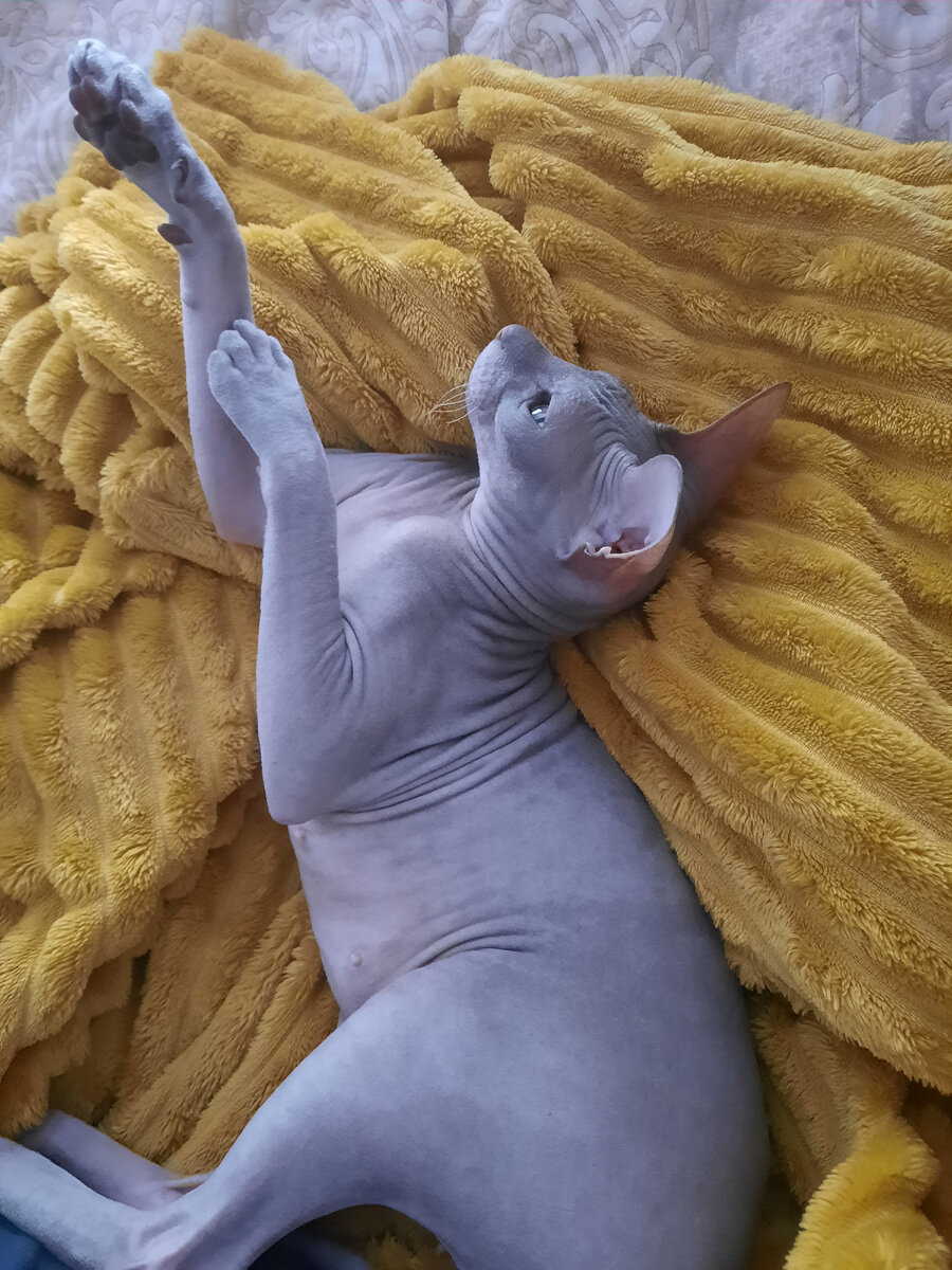 Утренние разговоры, обсуждаем план контент на день, но не сегодня😄