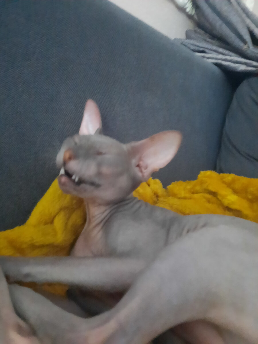 Интересная же фотка? 😉