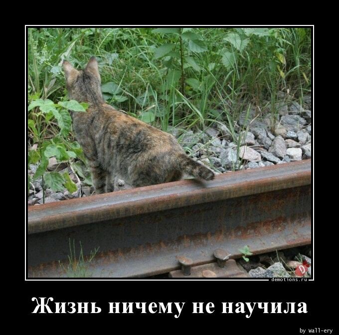 demotions.ru