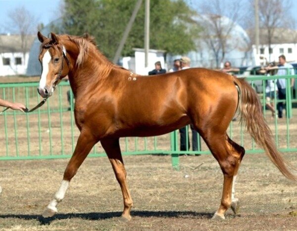 Фото: fermahelp.ru