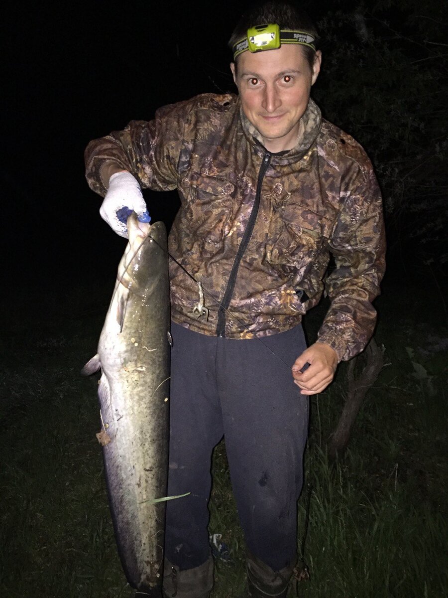 Сомик 5кг, пойман на лягушку.