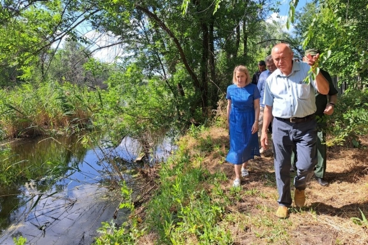    Экосовет изучит ситуацию с превращением в Венецию райцентра под Волгоградом