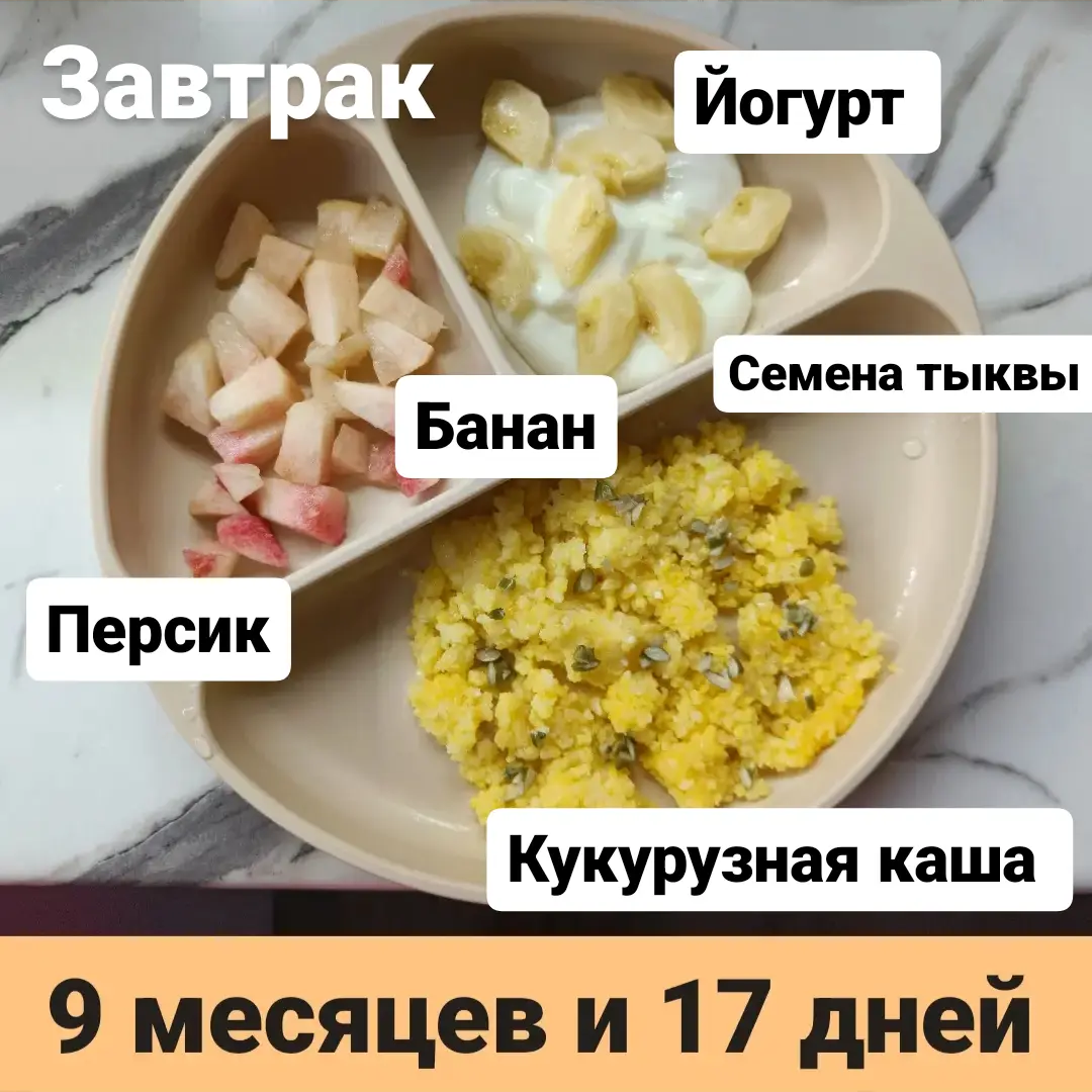 Пример тарелки в 9 месяцев 