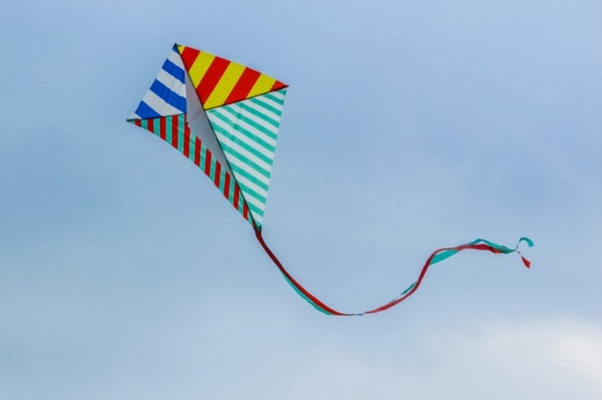    Фестиваль по запуску воздушных змеев пройдёт в Мурманске 8 июля